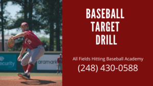 Baseball Target Drill
